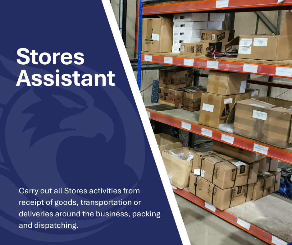 Stores Assistant