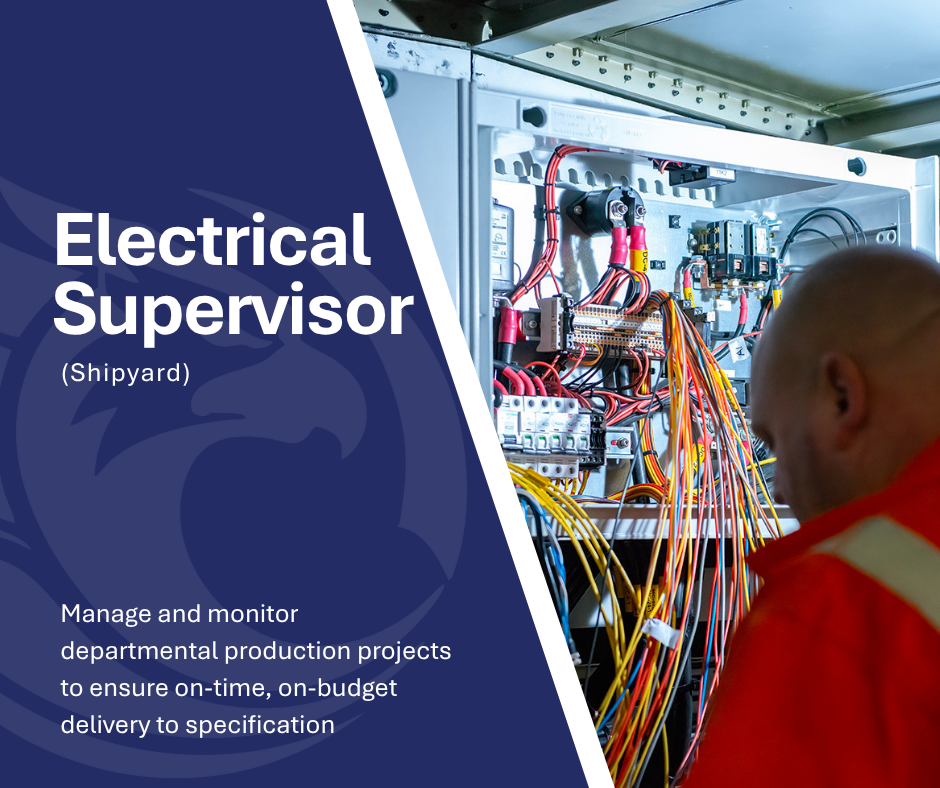Electrcial Supervisor